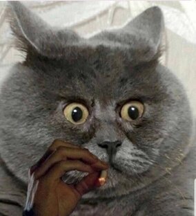 Немного психологии. Фобии, комплексы, депрессия 😉