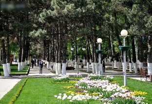 Истории из жизни