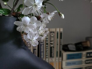 фотографии