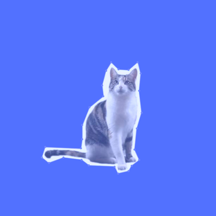 Карьерные истории