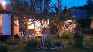 Семейное гнёздышко!