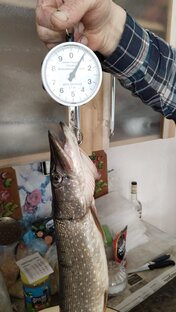 Рыбалка на поплавок