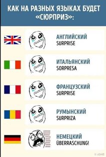 Мемы