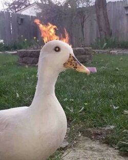 Здесь гадают 🧙‍♀️