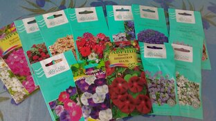 Цветы моего сада 