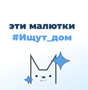 Им нужен дом 