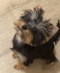 Игры, команды