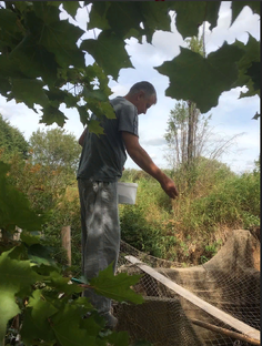 Работа перейди на Федота!