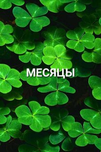Месяцы