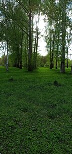 Поговорим по душам. Не только о детях