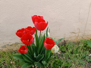 Калмыкия. Элиста