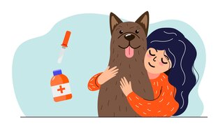 Забота о питомце