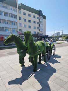 Чебоксары.