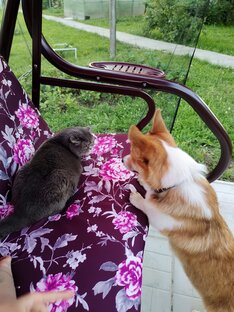 Марти&Масик🐾