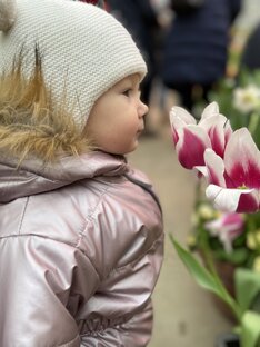 Музеи, выставки 