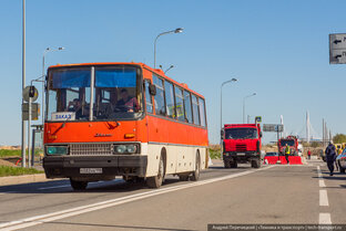 Автобусы и иже с ними