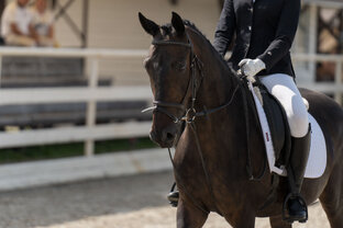 🏇🏻Все о конном спорте🏇🏻