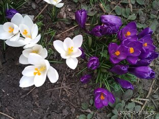 Весна пришла! Весне дорогу!