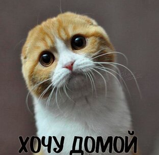 Пристрой