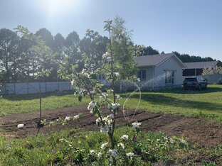 Сериал «Любовь и курица»