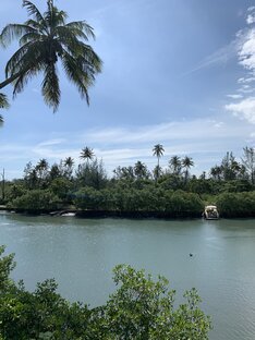 Бразильские истории