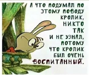 Что думает по этому поводу г-н N?
