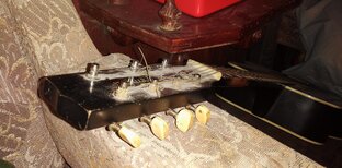 Моя семиструнка