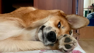 Истории успеха