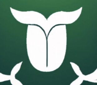 Бизнес практики