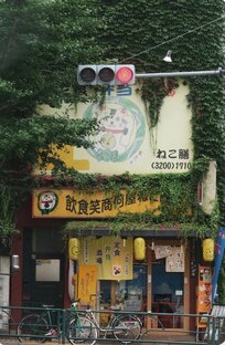 Гороскоп друидов 