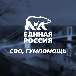 СВО, гуманитарная помощь и помощь семьям мобилизованных