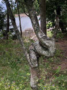 Лешие