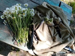 Путешествия большие и малые