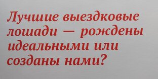 Цитаты из книг мастеров 