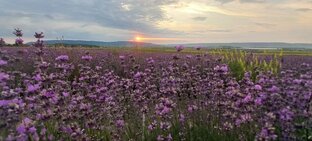 Места которые нужно посетить в Крыму
