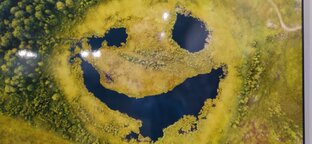 Жизнь и приключения