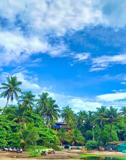 ПРИРОДА NATURE 🌴🌱🪷🌵🌿🌳