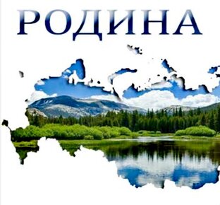 Общественный движ.