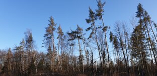 Остров Каневец. 