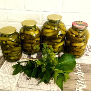 Мой погребок 2023