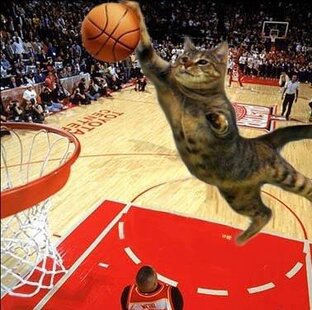 Видосики про NBA