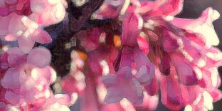 Вымышленная география в именах таксонов