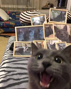 Юмор