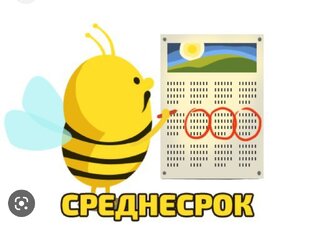 Монеты в среднесрок( от 3 недель до 6 месяцев)в