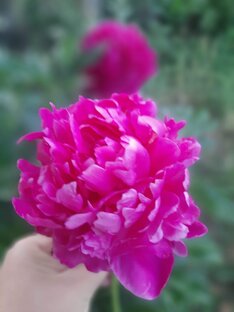 Игровые комнаты, площадки нашего города