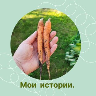 Мои истории, сказочные и не только🌝