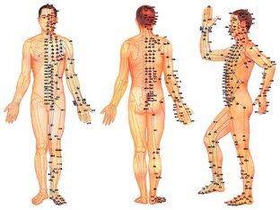 Активные точки человека, меридианы
