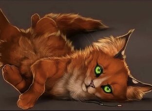 Кошечка Анфиса 