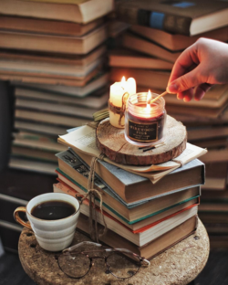 КНИЖНЫЕ ВИДЕООБЗОРЫ✨