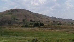 Природоведение и досуг)